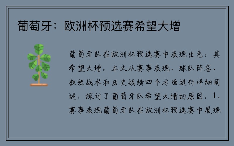 葡萄牙：欧洲杯预选赛希望大增